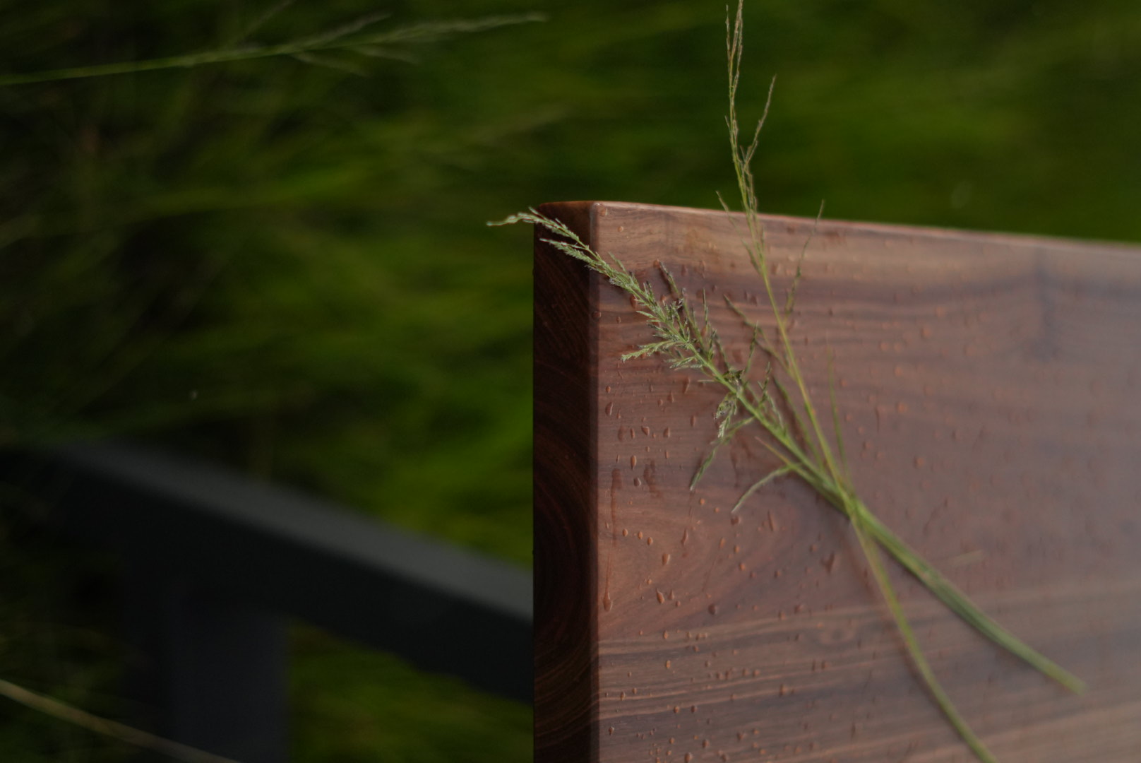 Table Mooiloop Hout dans les hautes herbes