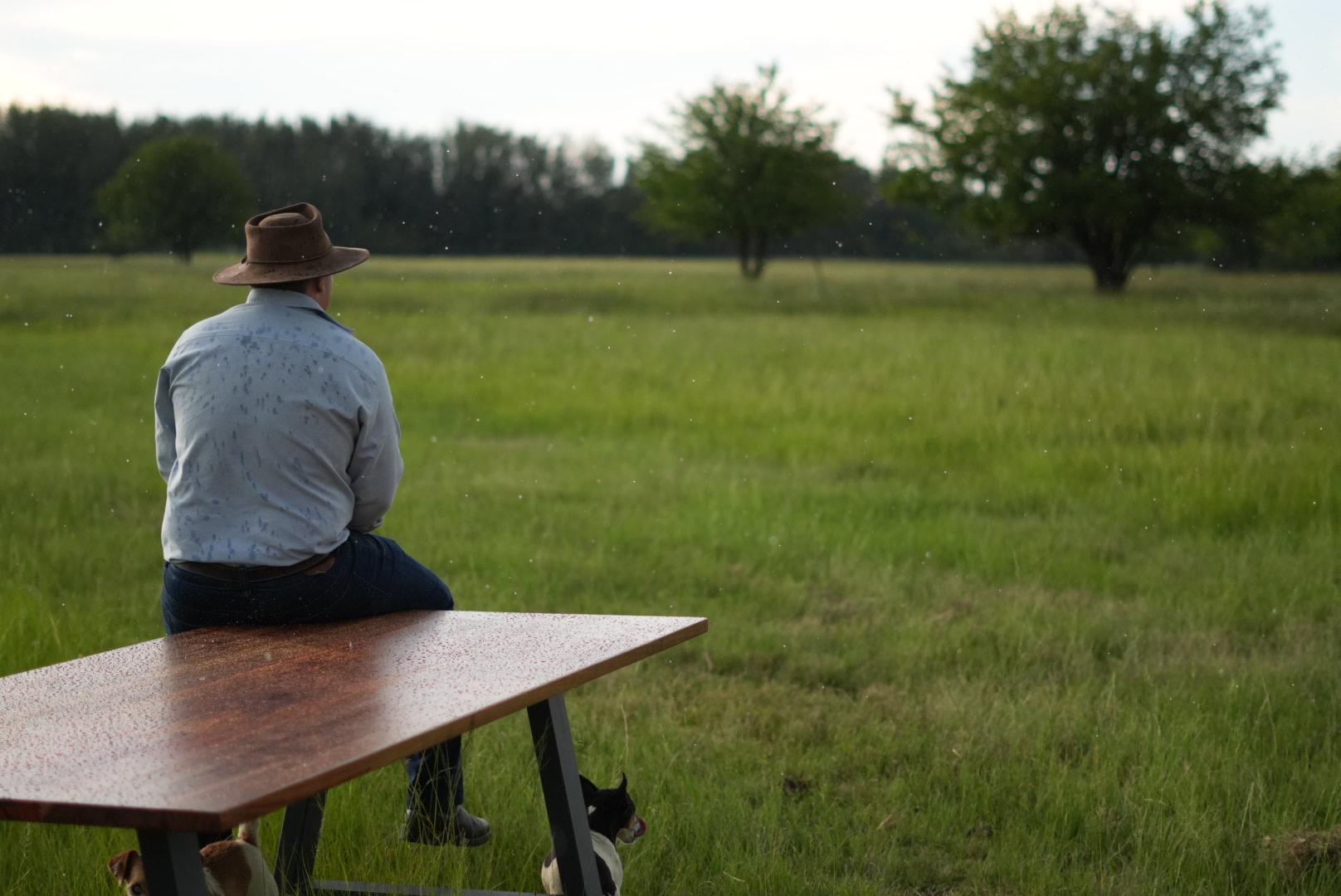 Table en bois noble dans la campagne sud-africaine